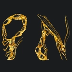 Gold lettering with font insektofobiya