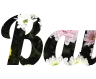 Your text online background flowers - beautiful png Font Lobster
