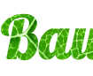 Online inscription designer create your own inscription with a green leaf background - Font Lobster