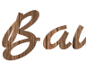 Online generator of inscriptions on a wooden board