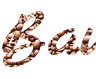 Create a Unique Coffee Bean Style PNG Lettering Using Font