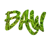 Beautiful graffiti font street soul